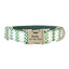 Teal Print Point Soft Personalized Dog Collar Set - iTalkPet