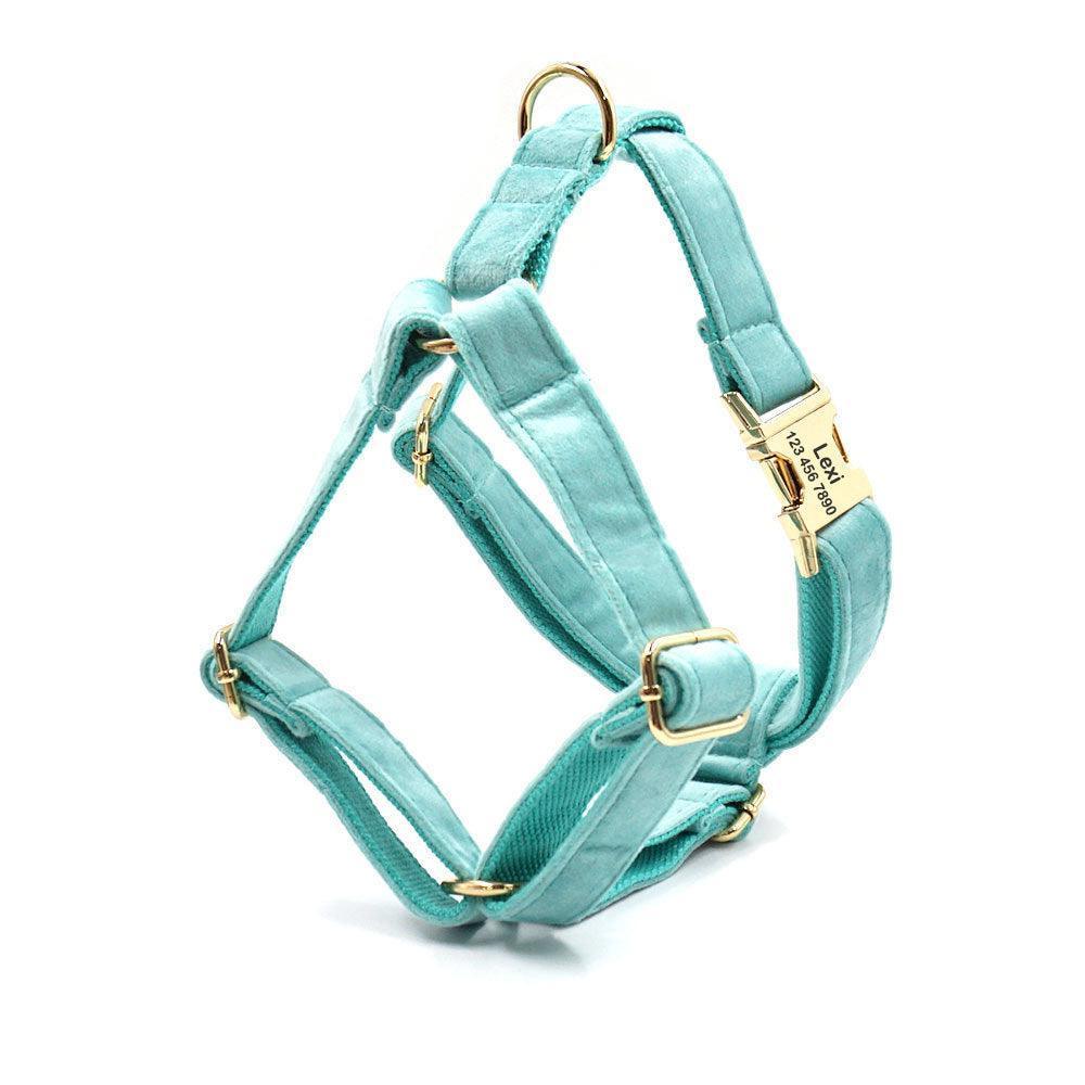 Teal Velvet Personalized Dog Collar Leash Harness Bowtie Poop Bag Set - iTalkPet