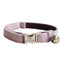 Velvet Adjustable Personalized Cat Collar With Removable Bell & Bowtie - iTalkPet