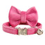 Velvet Adjustable Personalized Cat Collar With Removable Bell & Bowtie - iTalkPet