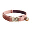 Velvet Adjustable Personalized Cat Collar With Removable Bell & Bowtie - iTalkPet