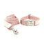 Velvet Personalized Dog Collar With Leash Set - iTalkPet