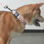 Village Personalized Dog Collar with Leas & Bow tie Set - iTalkPet