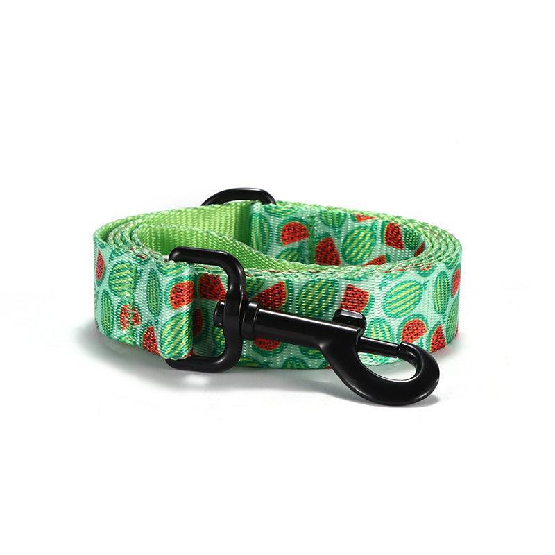 Watermelon Personalized Dog Collar with Leas & Bow tie Set - iTalkPet