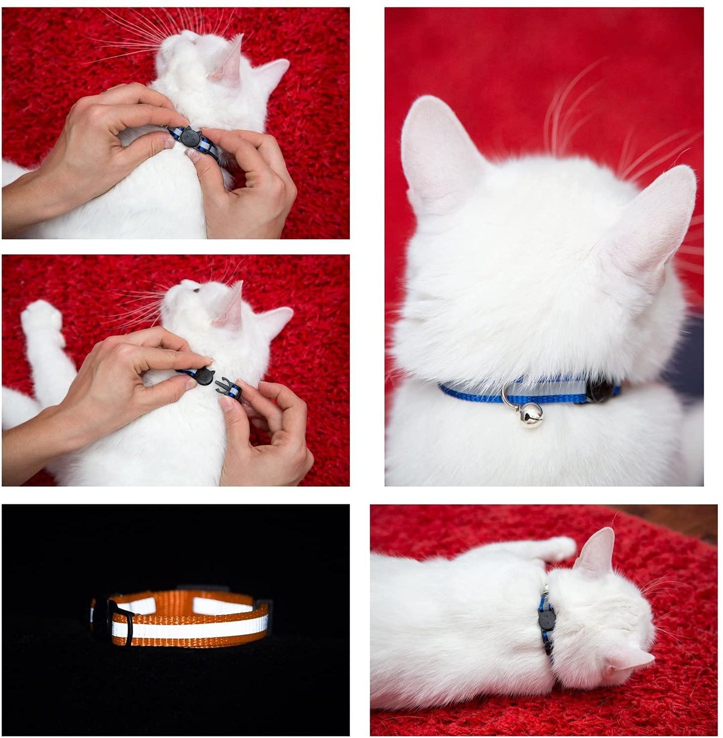 6 Pack Reflective Cat Collar with Bell - iTalkPet
