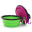 2 Pack Collapsible Portable Pet Feeding Watering Dish with Carabiners - iTalkPet