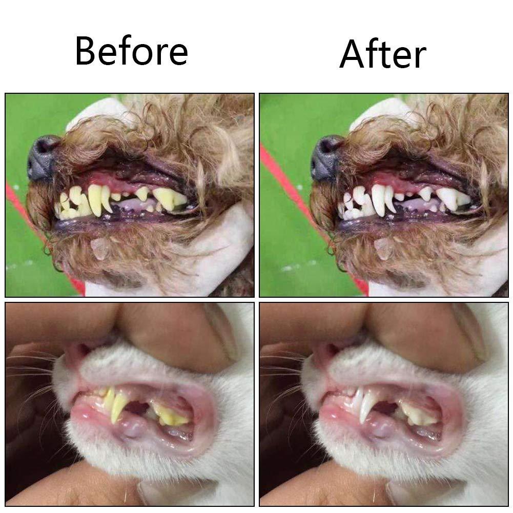 3-Sided Pet Toothbrush Dog Toothbrush Removing Bad Breath Tartar - iTalkPet