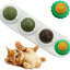 4 Pack Catnip Toys Safe Healthy Cat Wall Ball Toy - iTalkPet