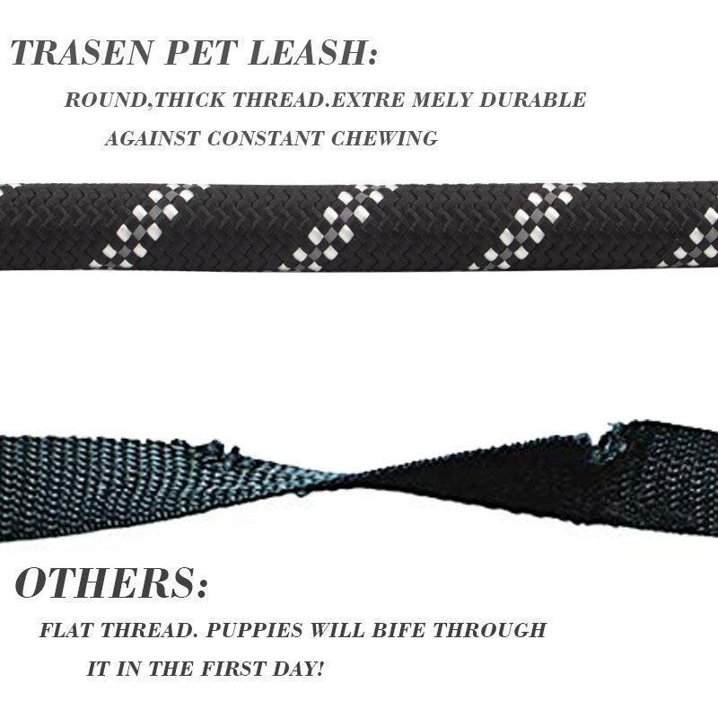 5FT Dog Leash with Comfortable Padded Handle and Highly Reflective Threads - iTalkPet