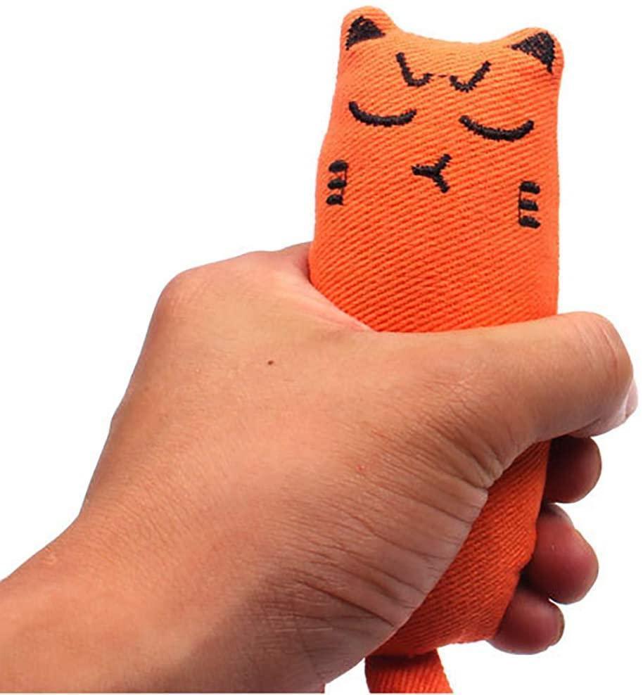 5Pcs Catnip Toy Bite Resistant Chew Toys for Cat - iTalkPet