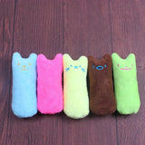 5Pcs Catnip Toy Cartoon Mice Cat Teething Chew Toy - iTalkPet