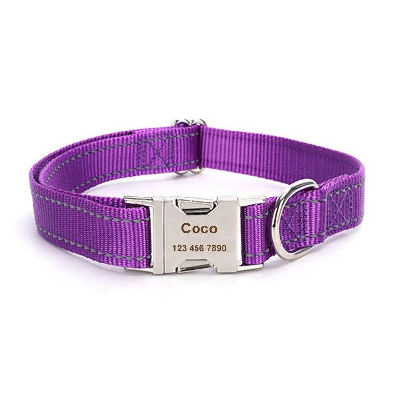 Adjustable Reflective Nylon Personalized Dog Collar - iTalkPet