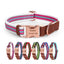 Adjustable Reflective Personalized Dog Collar and Leash Set - iTalkPet