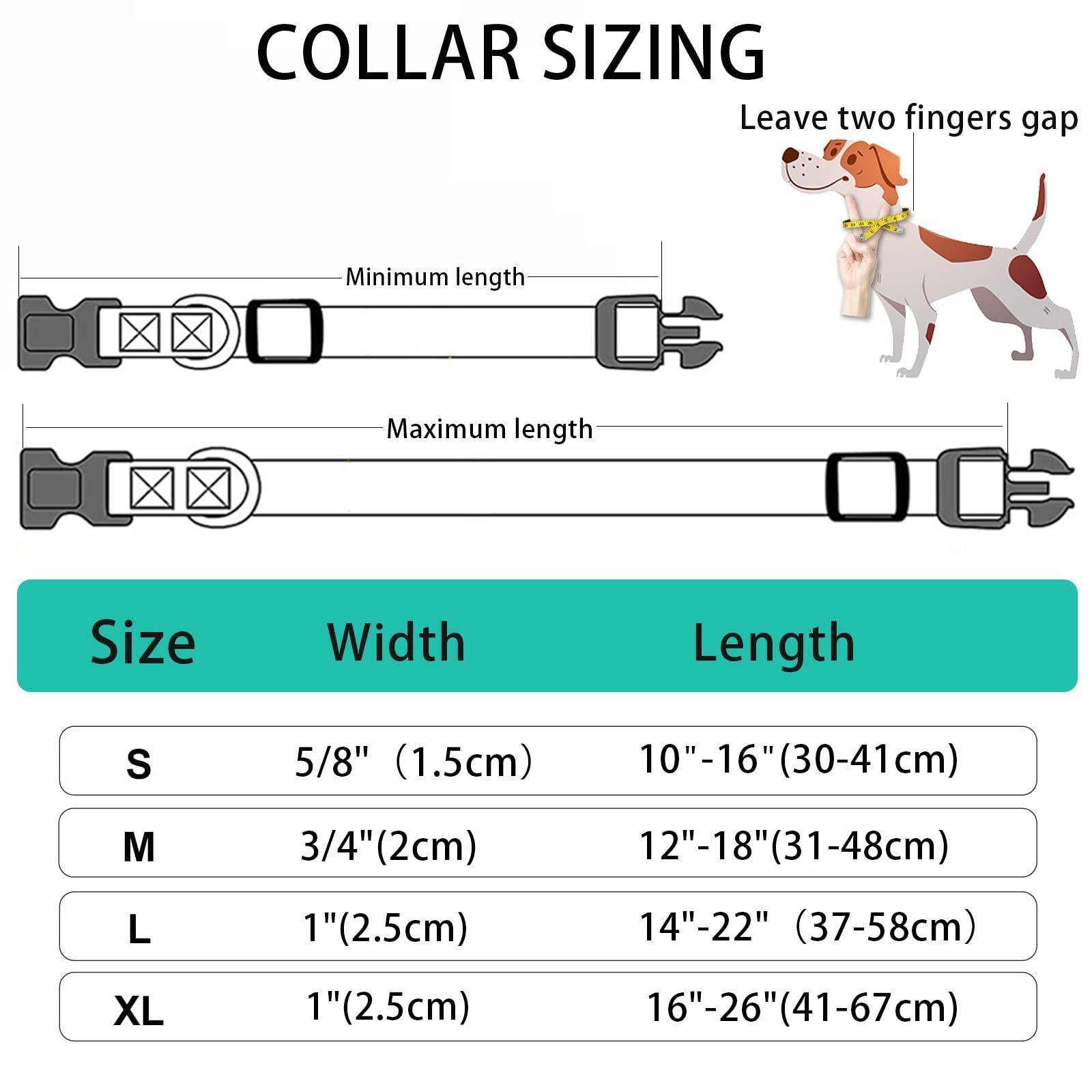 Adjustable Reflective Personalized Dog Collar and Leash Set - iTalkPet