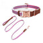 Adjustable Reflective Personalized Dog Collar and Leash Set - iTalkPet