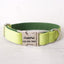 Avocado Personalized Dog Collar Set - iTalkPet