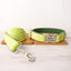 Avocado Personalized Dog Collar Set - iTalkPet