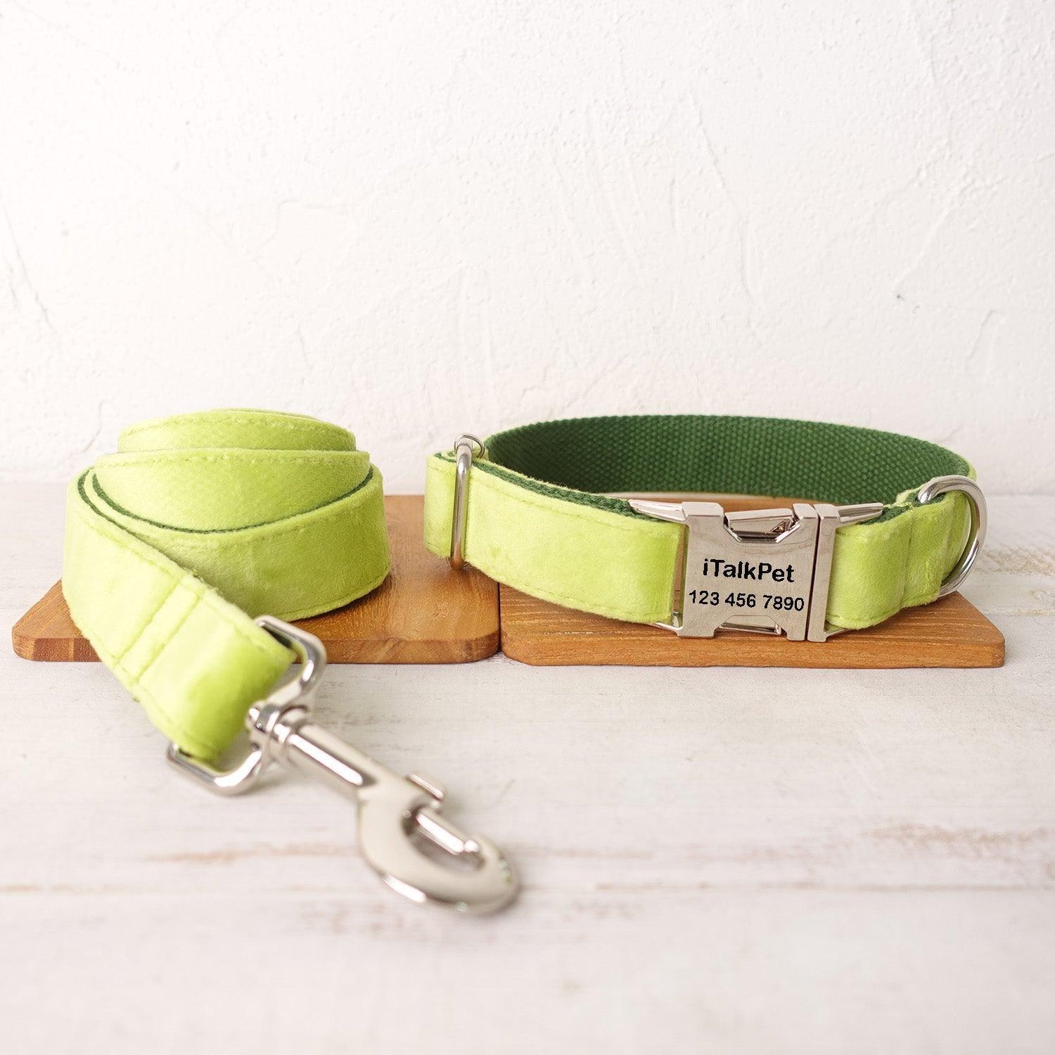Avocado Personalized Dog Collar Set - iTalkPet