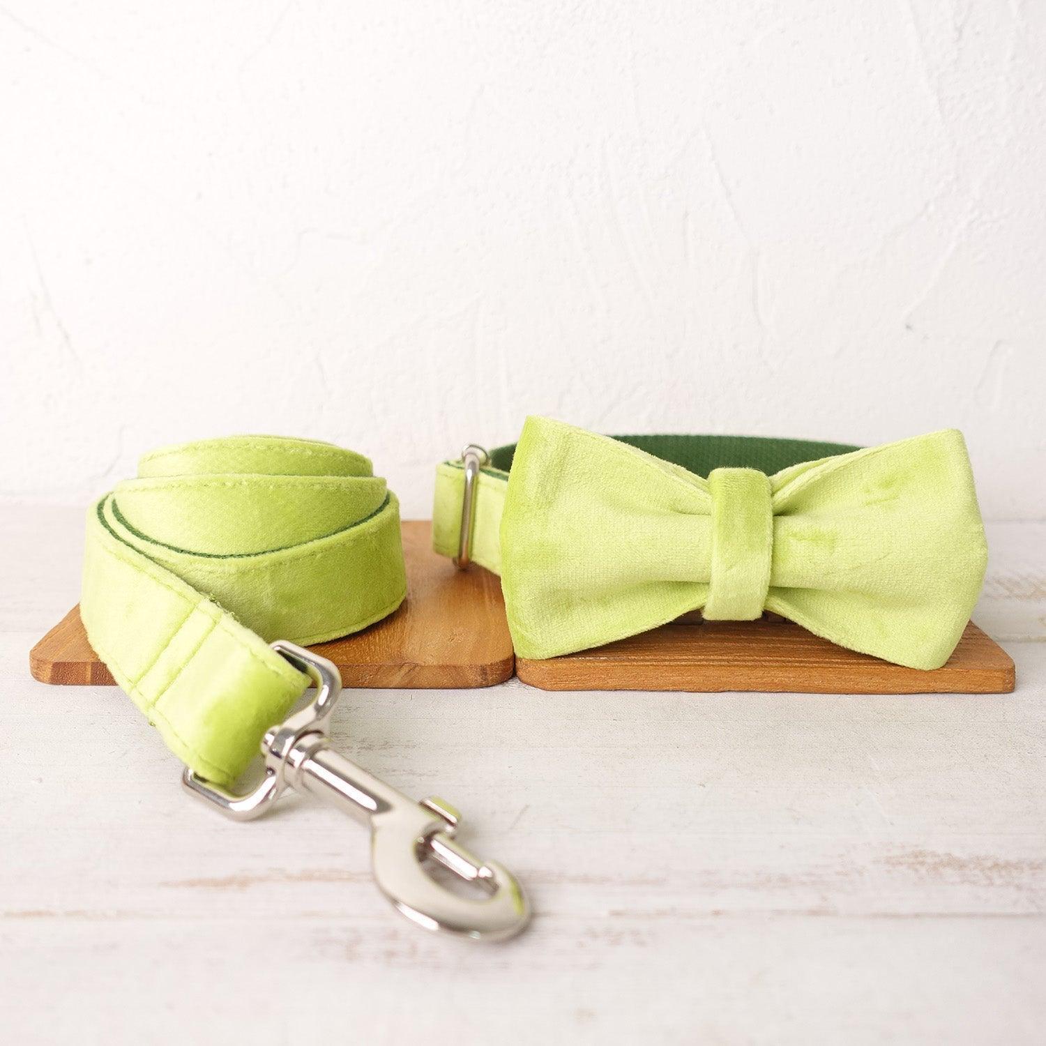 Avocado Personalized Dog Collar Set - iTalkPet