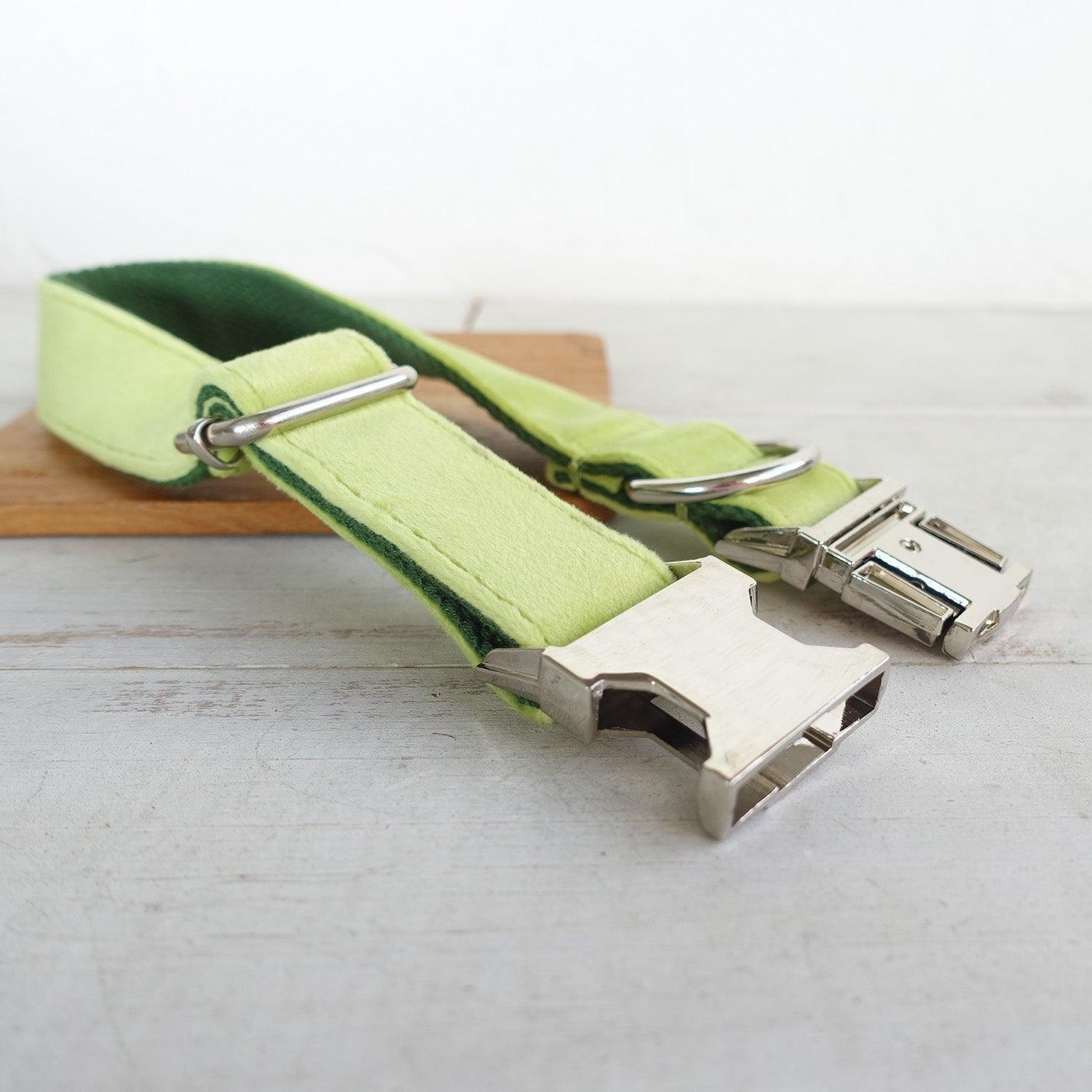 Avocado Personalized Dog Collar Set - iTalkPet