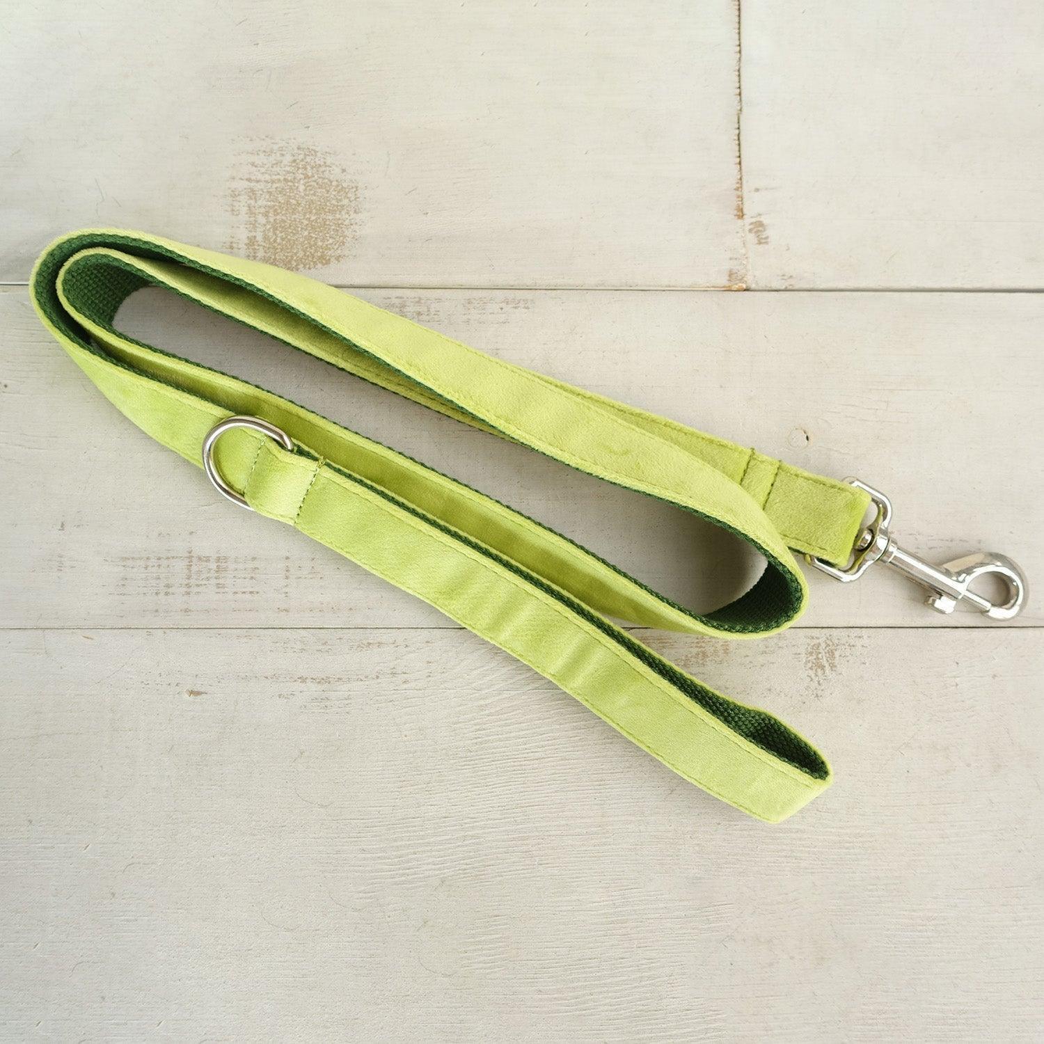 Avocado Personalized Dog Collar Set - iTalkPet