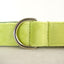Avocado Personalized Dog Collar Set - iTalkPet