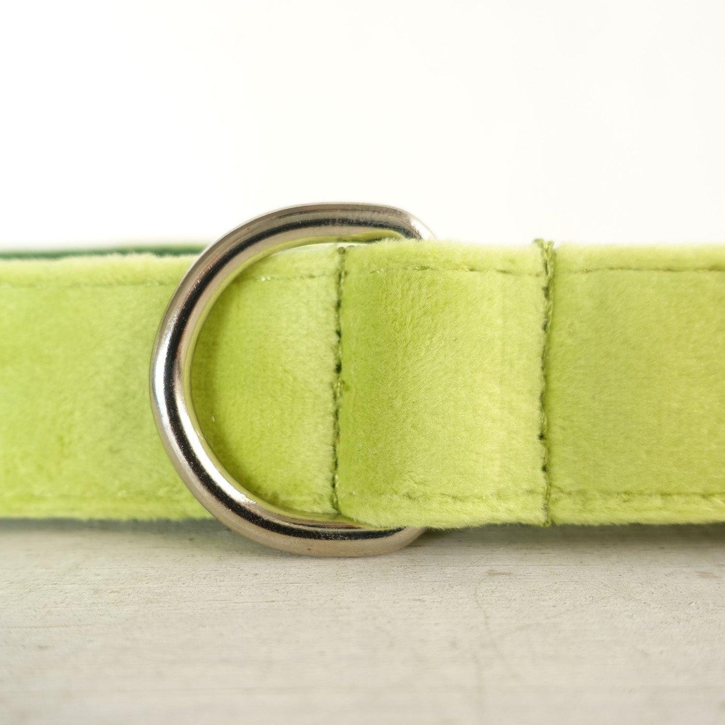Avocado Personalized Dog Collar Set - iTalkPet