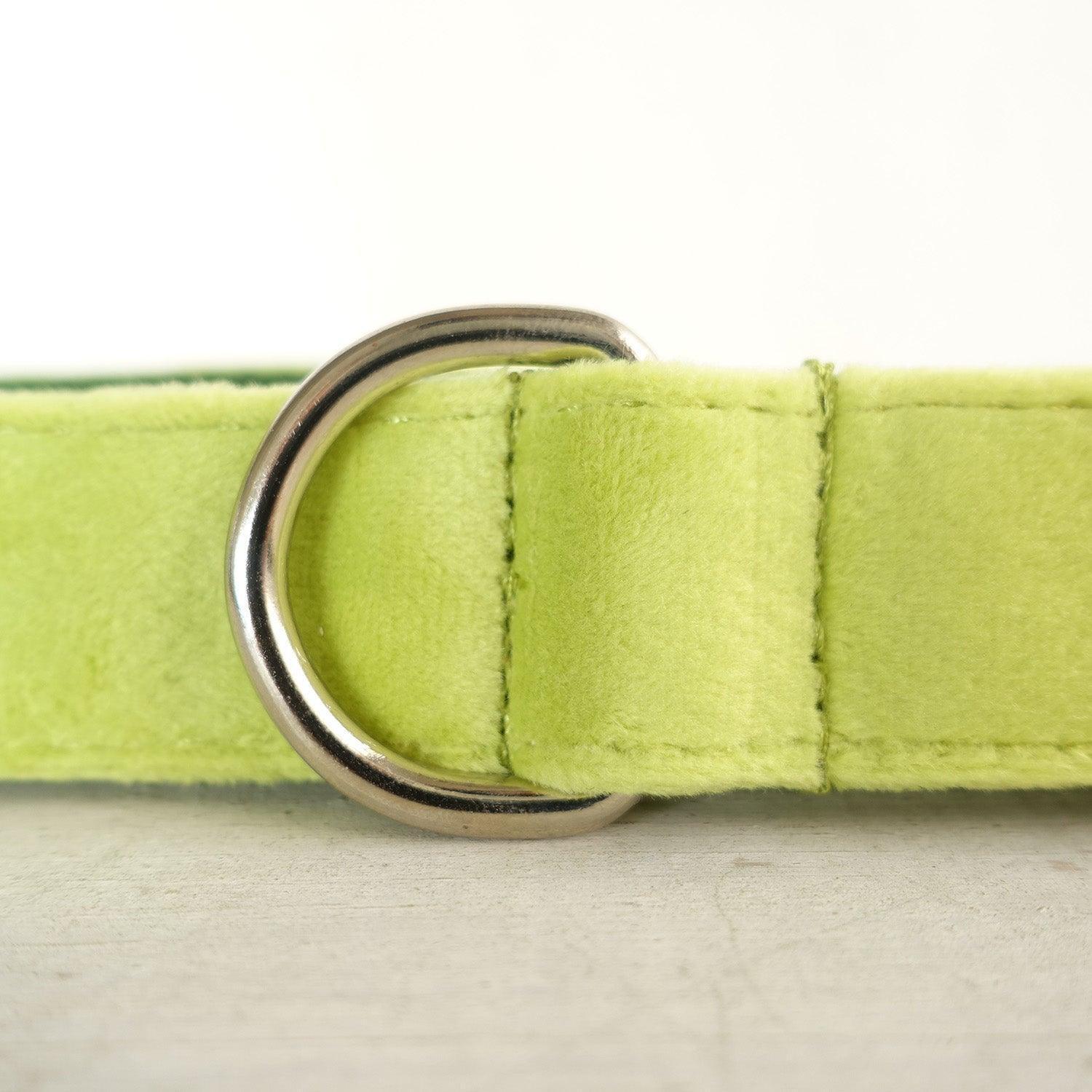 Avocado Personalized Dog Collar Set - iTalkPet
