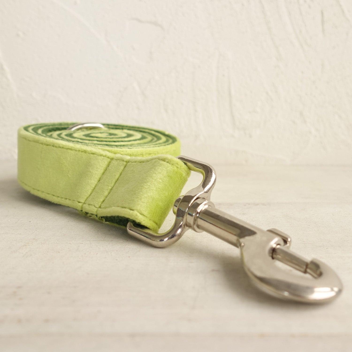 Avocado Personalized Dog Collar Set - iTalkPet