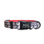 Bird Print Beautiful Personalized Dog Collar Set - iTalkPet