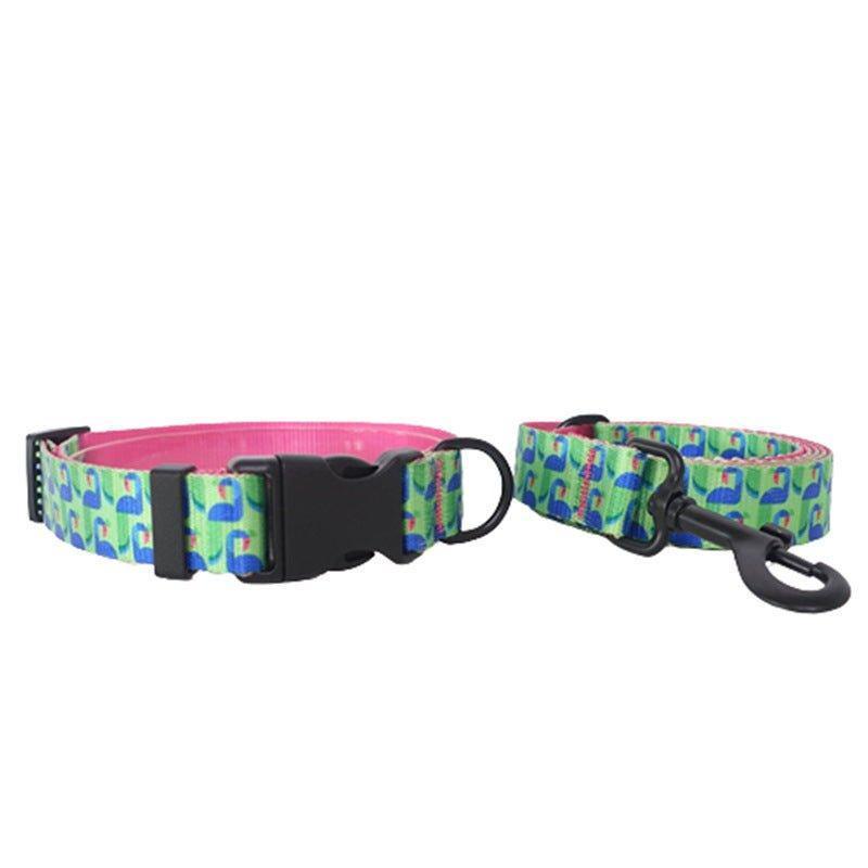 Bird Print Beautiful Personalized Dog Collar Set - iTalkPet