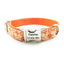 Biscuit Orange Personalized Dog Collar Set - iTalkPet