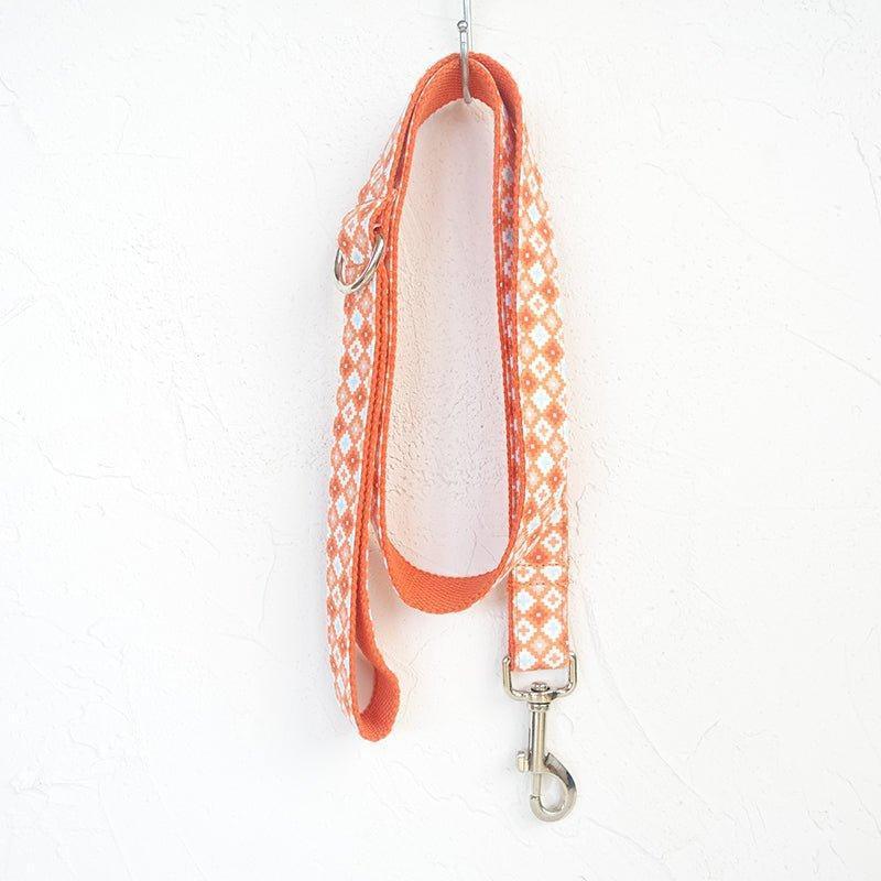Biscuit Orange Personalized Dog Collar Set - iTalkPet