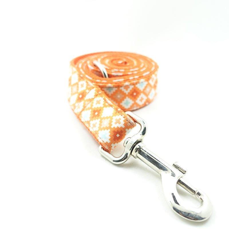 Biscuit Orange Personalized Dog Collar Set - iTalkPet