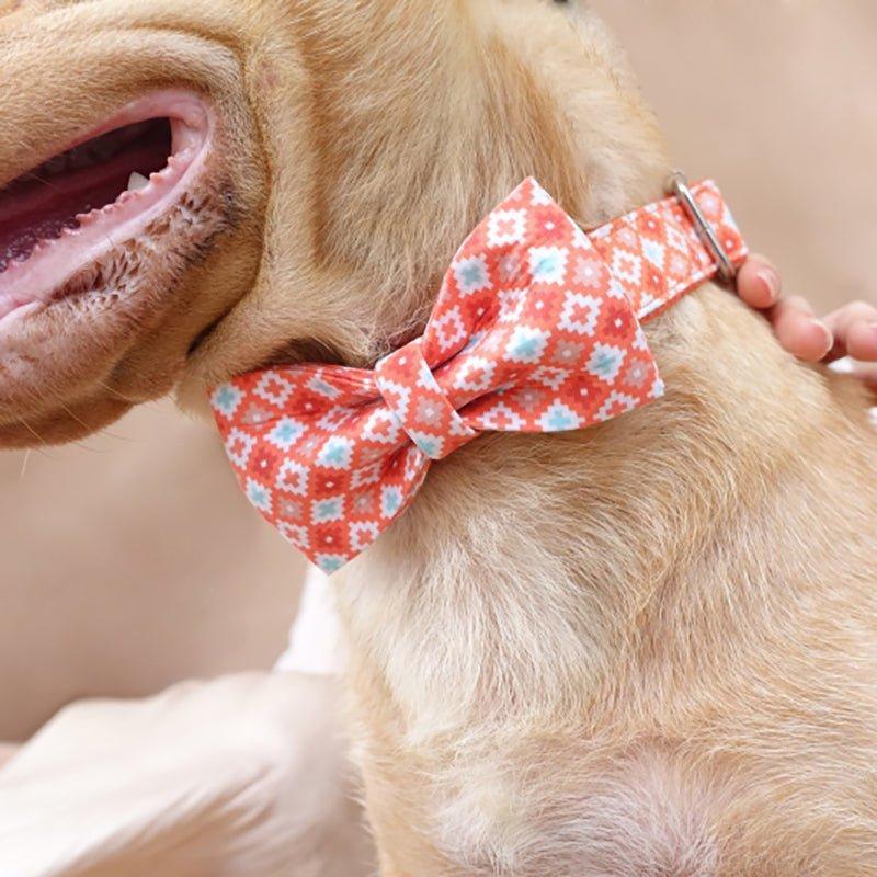Biscuit Orange Personalized Dog Collar Set - iTalkPet
