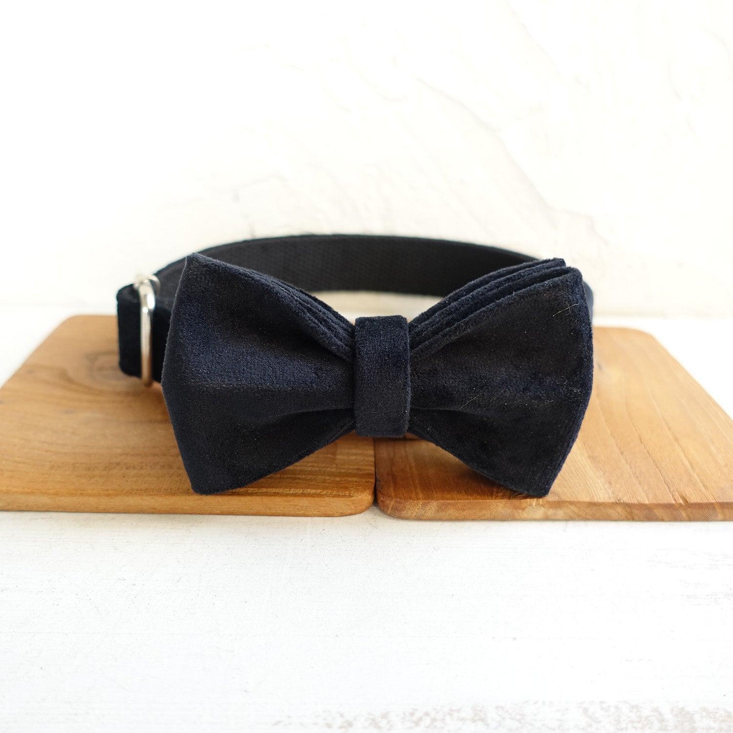 Black Personalized Dog Collar Set - iTalkPet