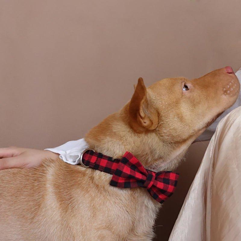 Black Red Plaid Personalized Dog Collar Set - iTalkPet