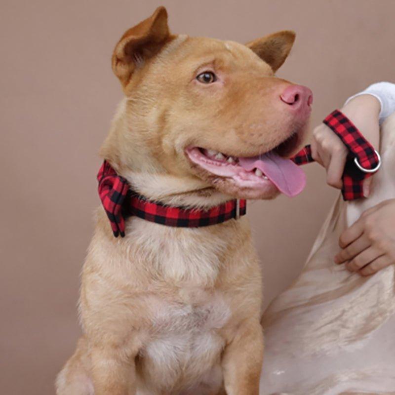 Black Red Plaid Personalized Dog Collar Set - iTalkPet