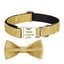 Bling Custom Embroidered Dog Collar with Metal Buckle - iTalkPet