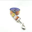 Blue Bohemian Personalized Dog Collar Set - iTalkPet