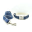 Blue Brown Personalized Dog Collar Set - iTalkPet