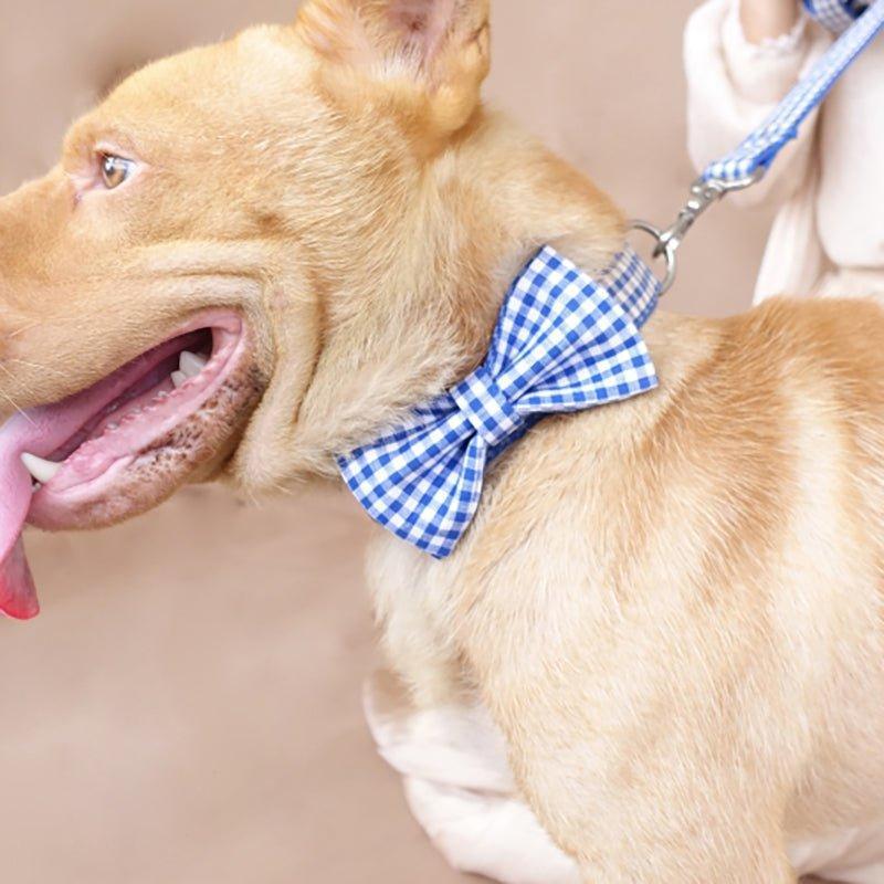Blue White Plaid Personalized Dog Collar Set - iTalkPet