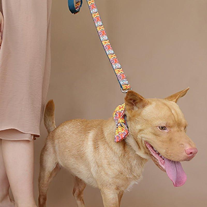 Bohemian Personalized Dog Collar Set - iTalkPet