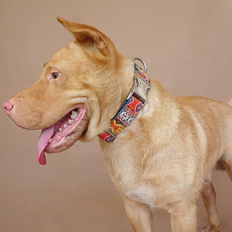 Bohemian Personalized Dog Collar Set - iTalkPet