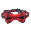 Breakaway Cat Collar with Cute Bow Tie and Bell - iTalkPet