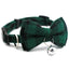 Breakaway Cat Collar with Cute Bow Tie and Bell - iTalkPet