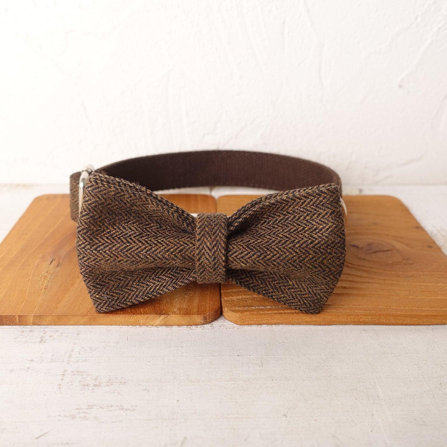 Brown Suit Personalized Dog Collar Set - iTalkPet