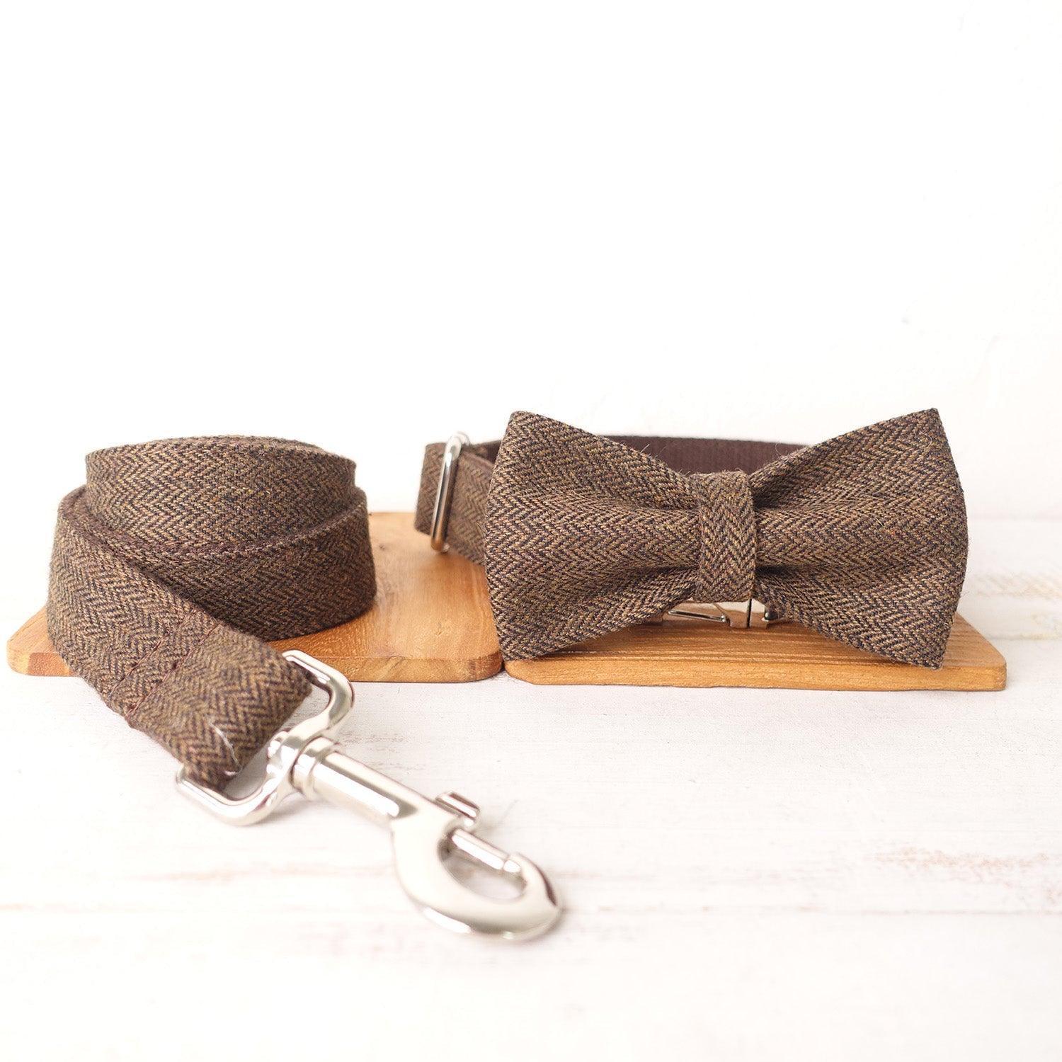 Brown Suit Personalized Dog Collar Set - iTalkPet