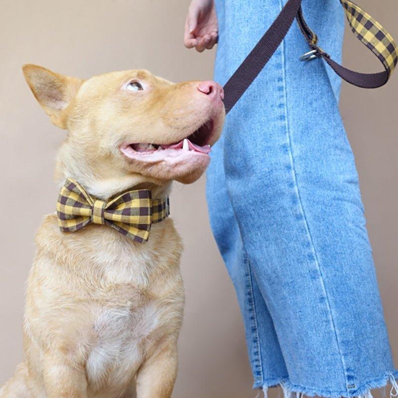 Brown Yellow Plaid Personalized Dog Collar Set - iTalkPet