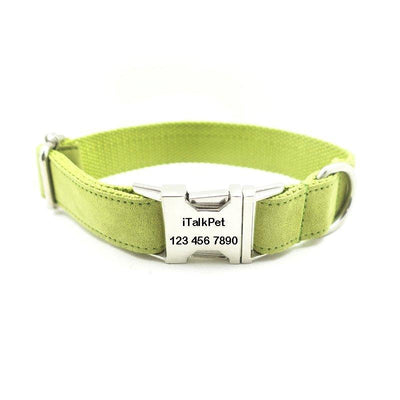 Candy Green Personalized Dog Collar Set - iTalkPet